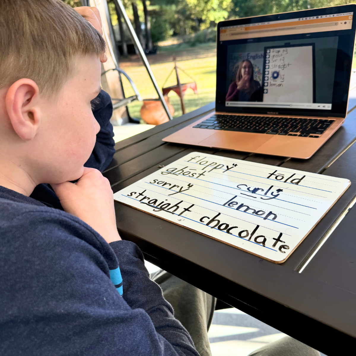 student doing spelling analysis online