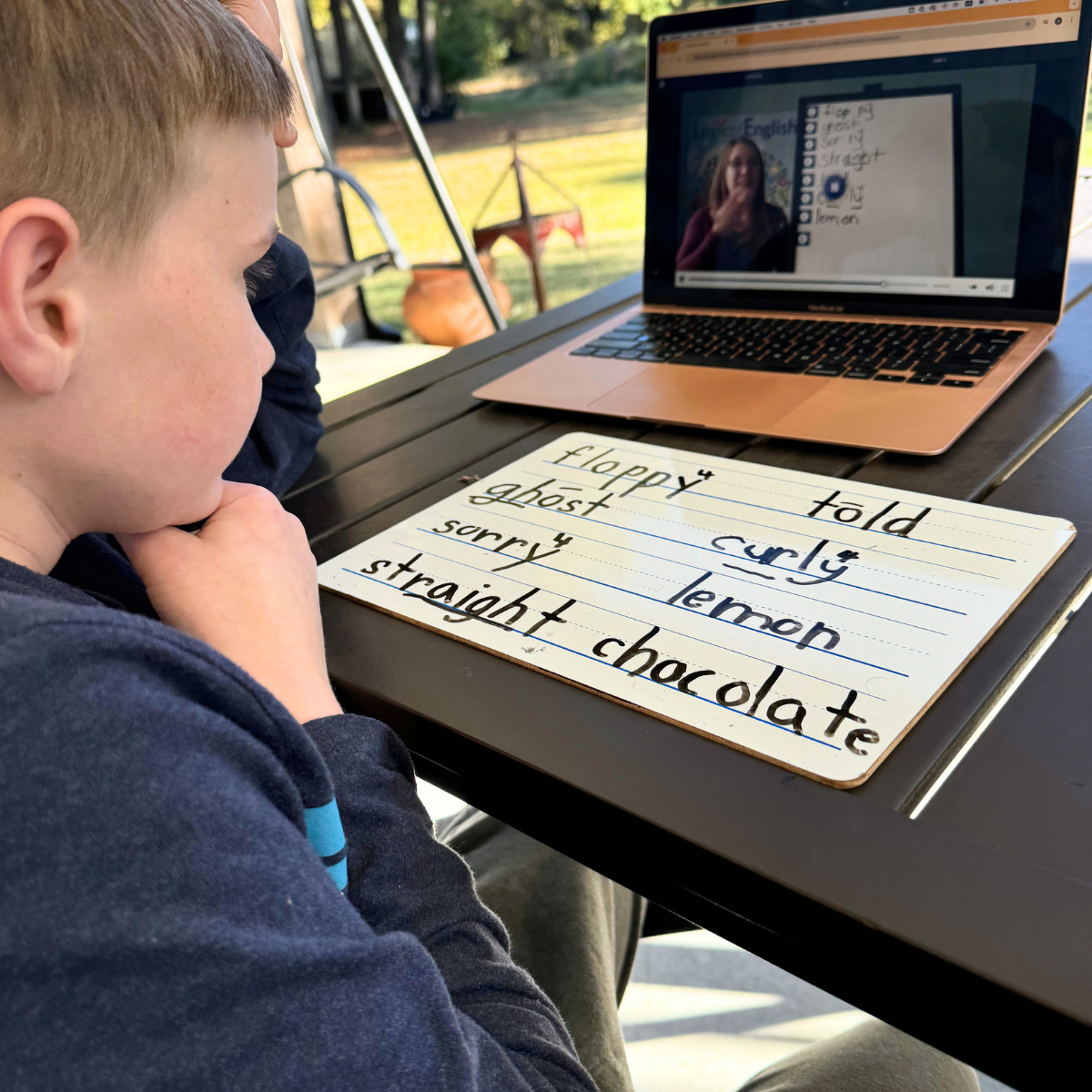 student doing spelling analysis online