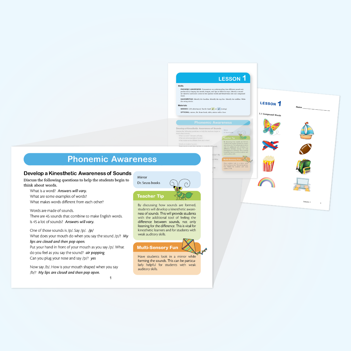 phonemic awareness lesson example