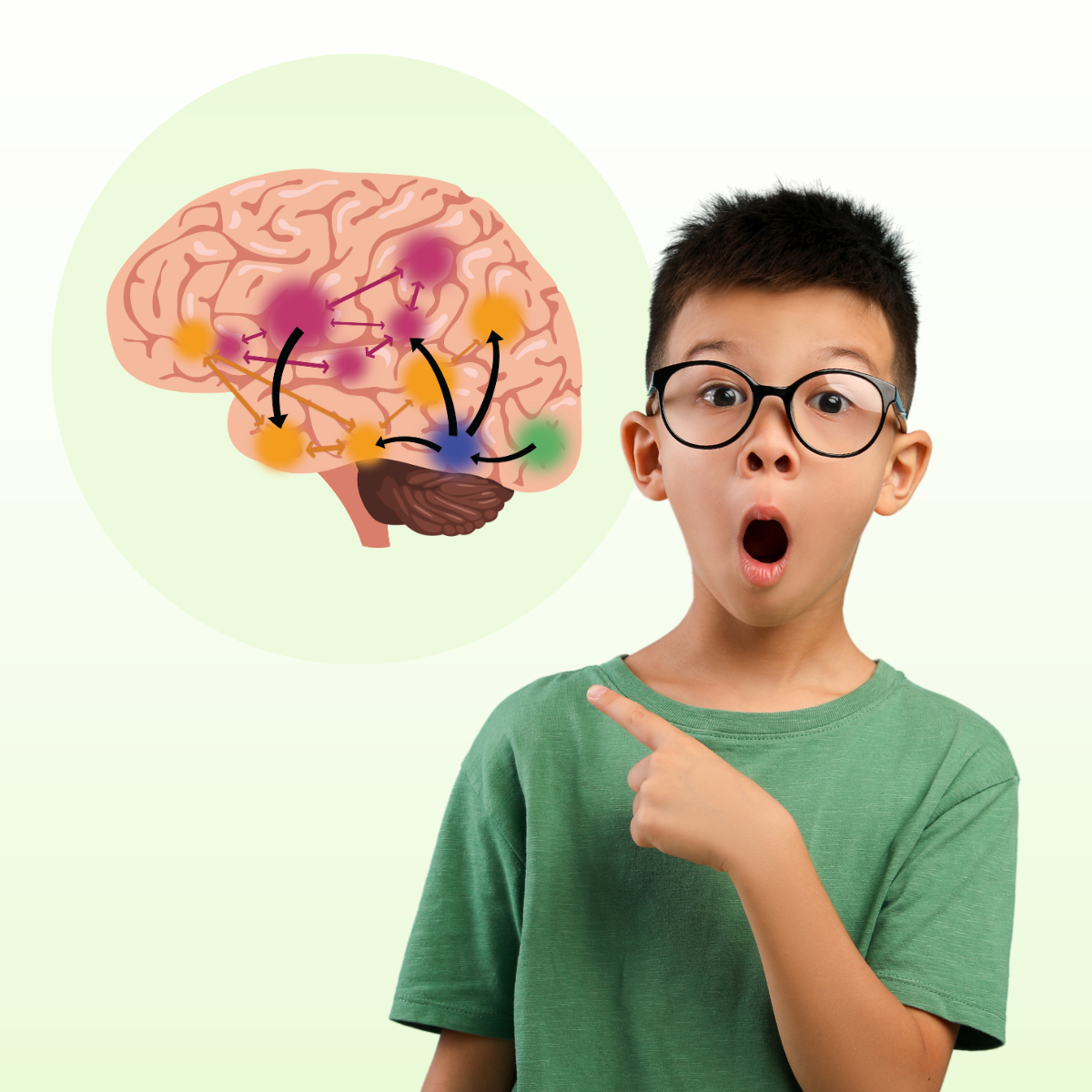 student pointing to brain graphic