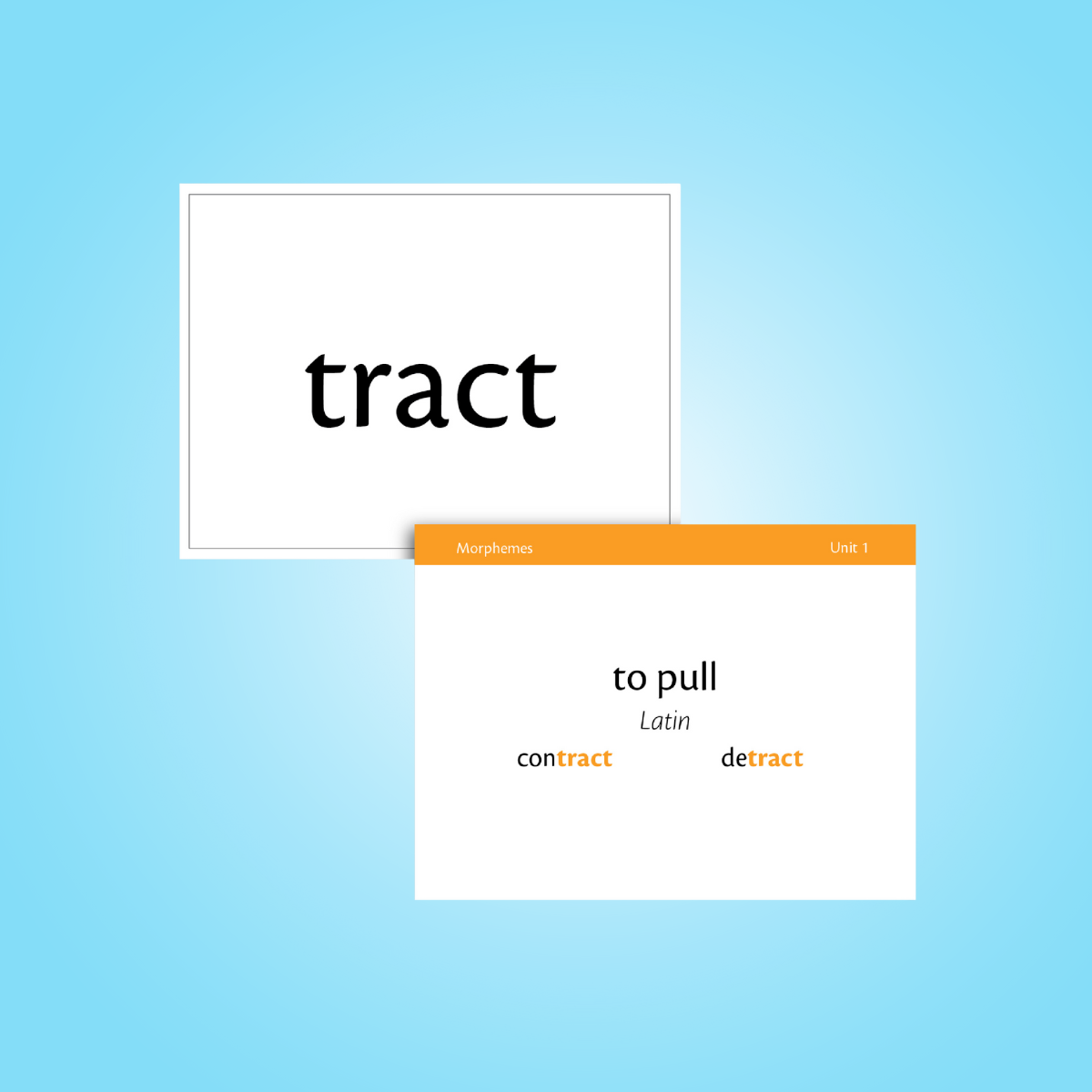 morphology flashcards