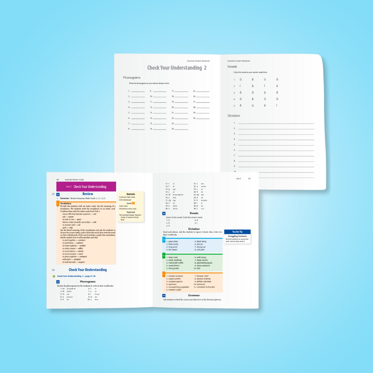 Essentials teacher's guide and workbook