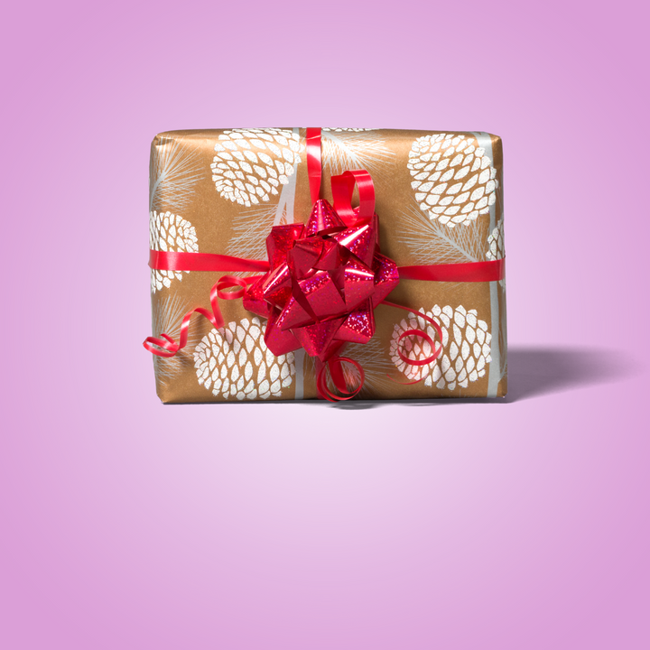 a wrapped gift
