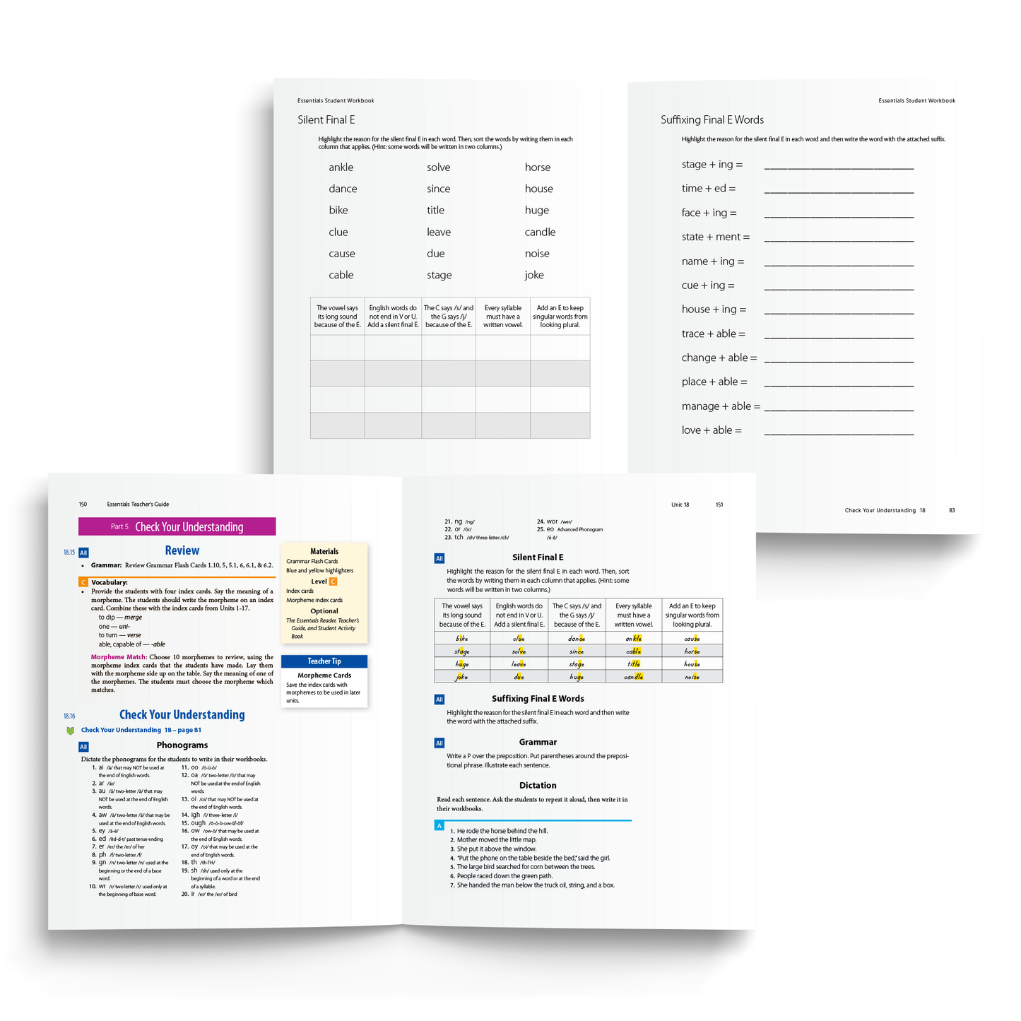 Sample of Teacher's Guide and Student Workbook for Essentials 16-22 - Check Your Understanding