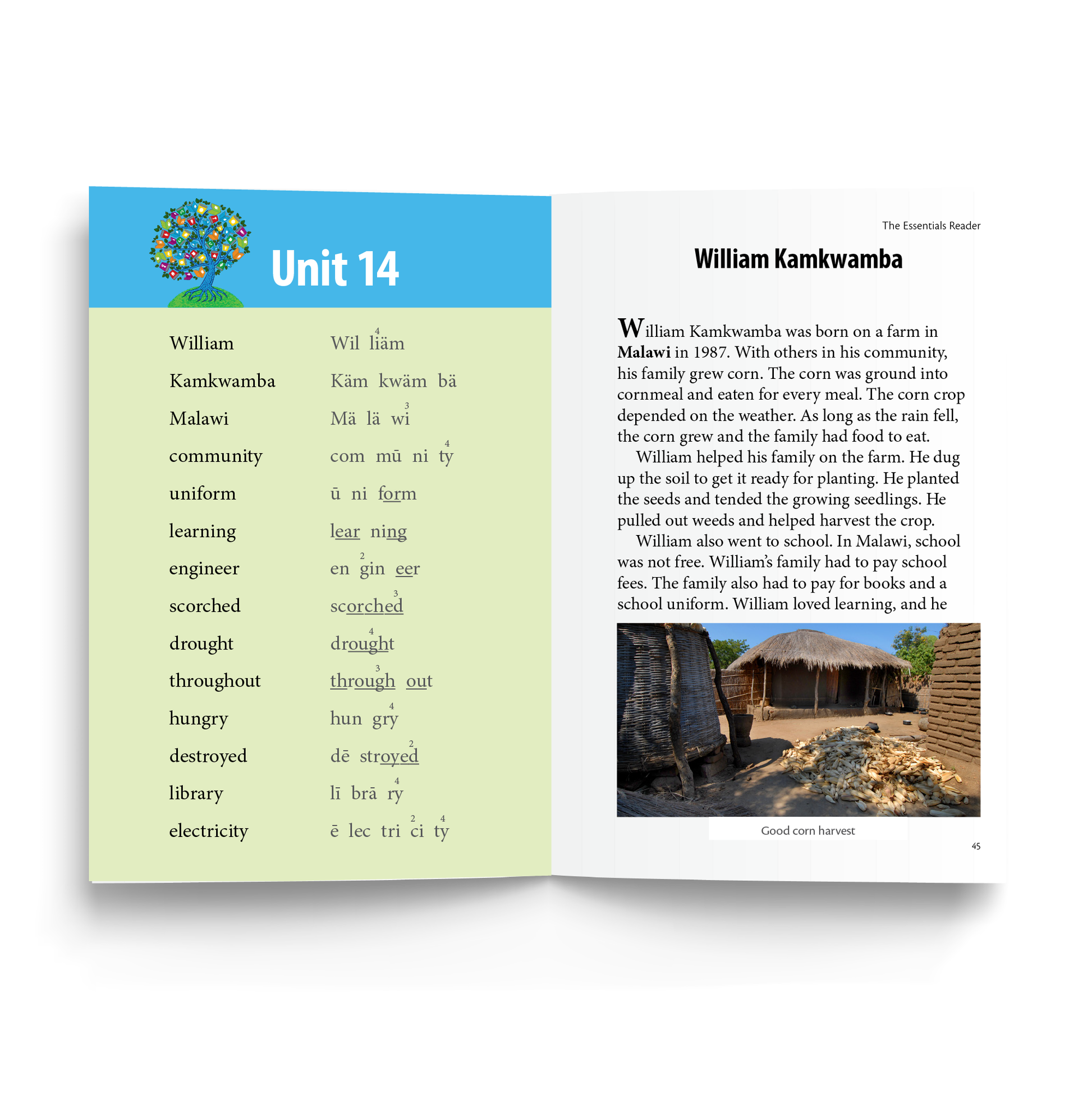 Sample of the Essentials Reader - Unit 14: William Kamkwamba