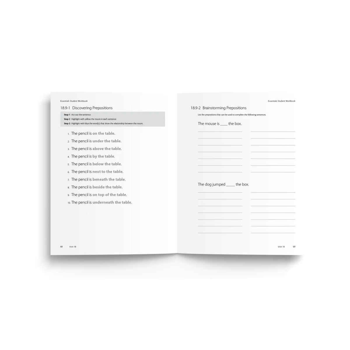Essentials workbook