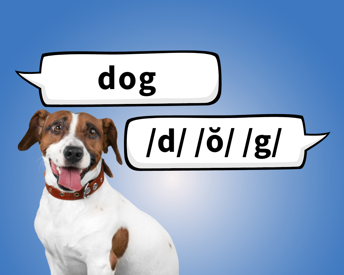 dog with word bubbles spelling dog phonetically