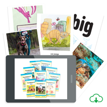 Foundations A Readers available for PDF download