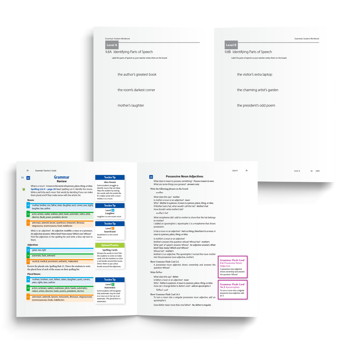 Sample of Teacher's Guide and Student Workbook for Essentials Units 8-15 - Differentiated Instruction for Identifying Parts of Speech