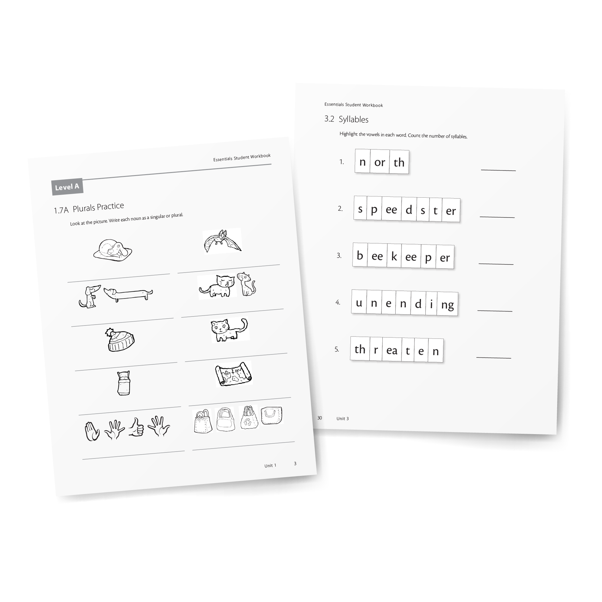 Sample of Student Workbook for Essentials 1-7