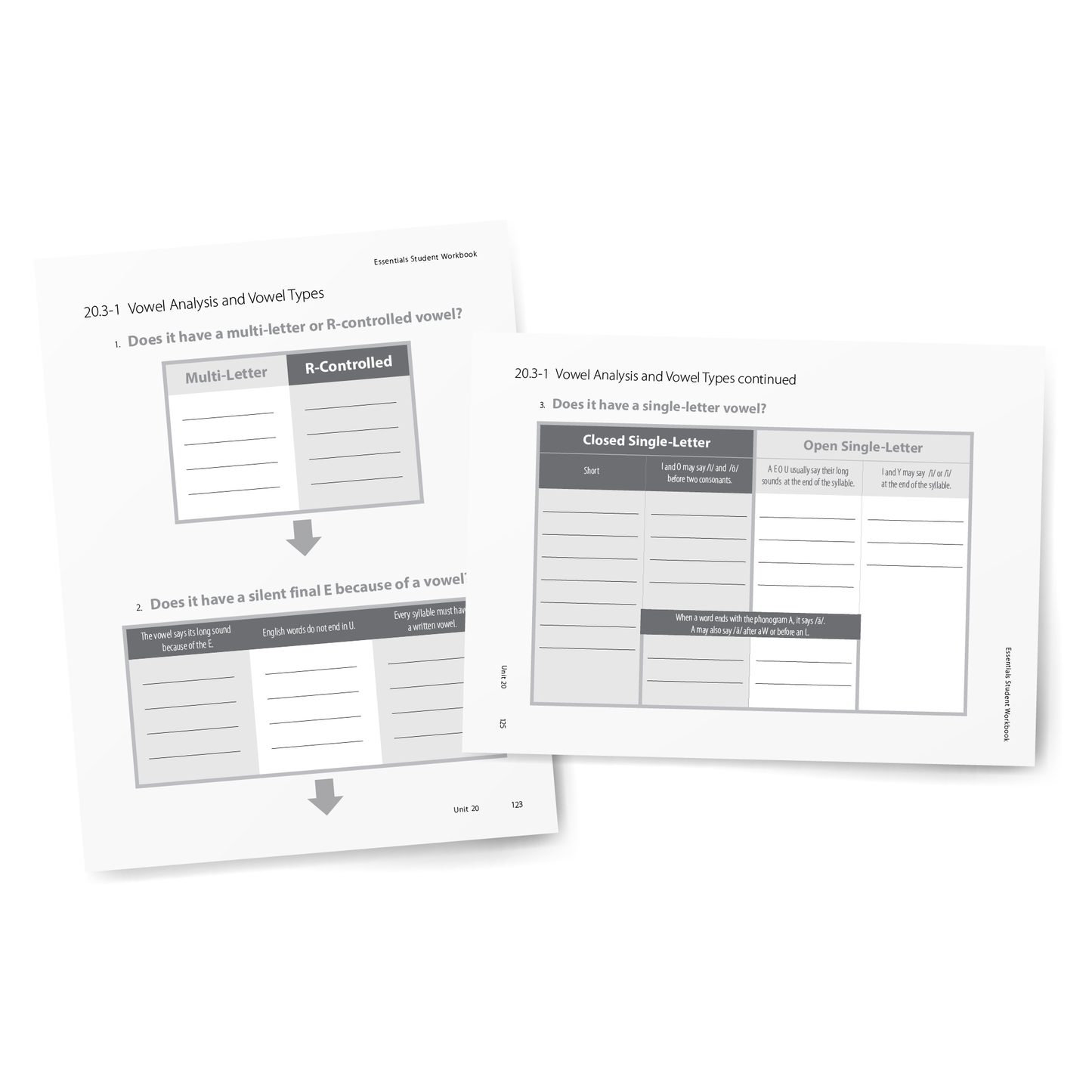 Sample of Student Workbook for Essentials Units 16-22 - Vowel Analysis and Vowel Types Flow Charts
