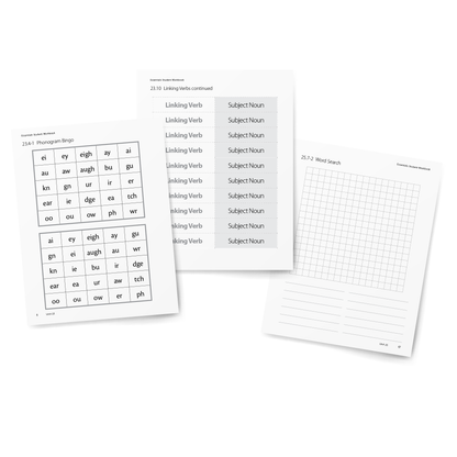 Sample of Student Workbook for Essentials Units 23-30 - Games