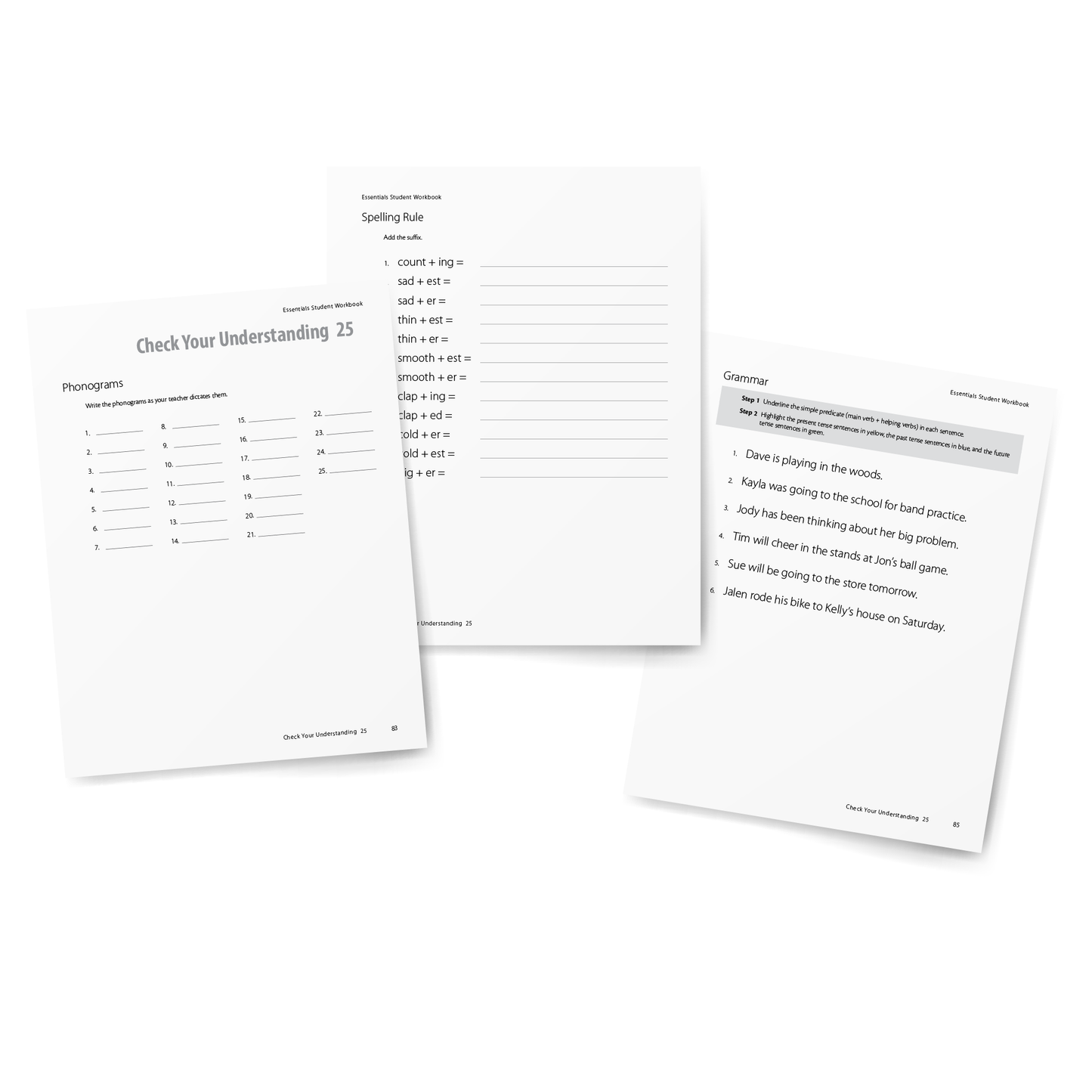 Sample of Student Workbook for Essentials Units 23-30 - Check Your Understanding