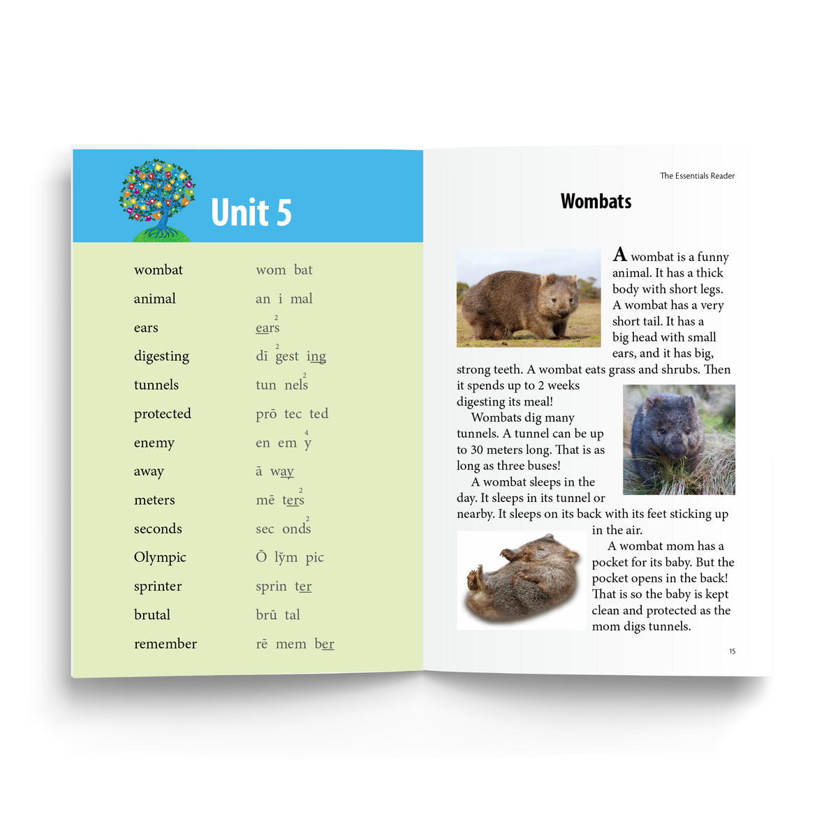 Essentials Reader – Logic Of English