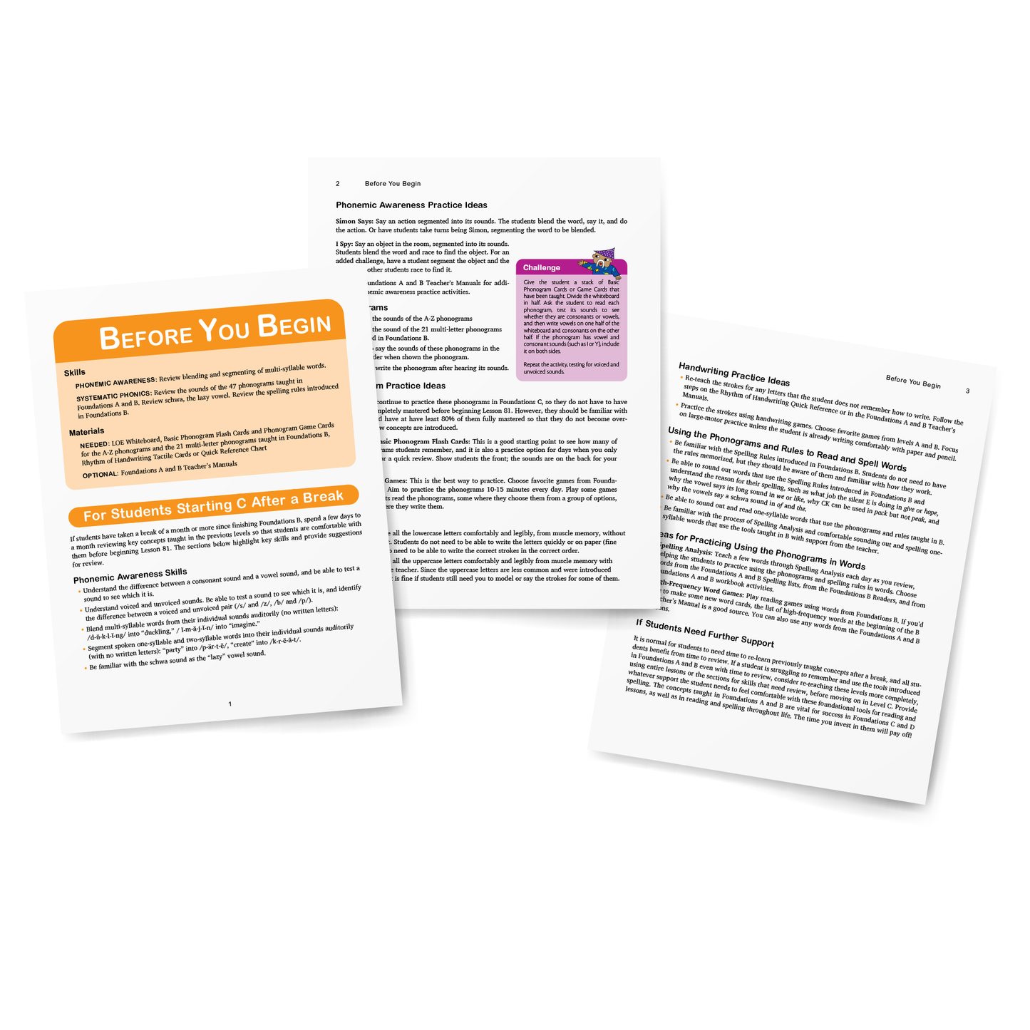 Sample of Teacher's Manual for Foundations C - Recap