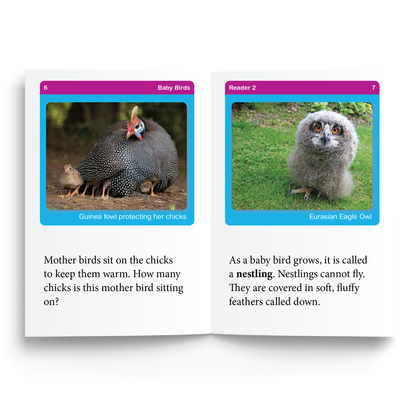 Sample of Reader 2: Baby Birds used in Foundations D