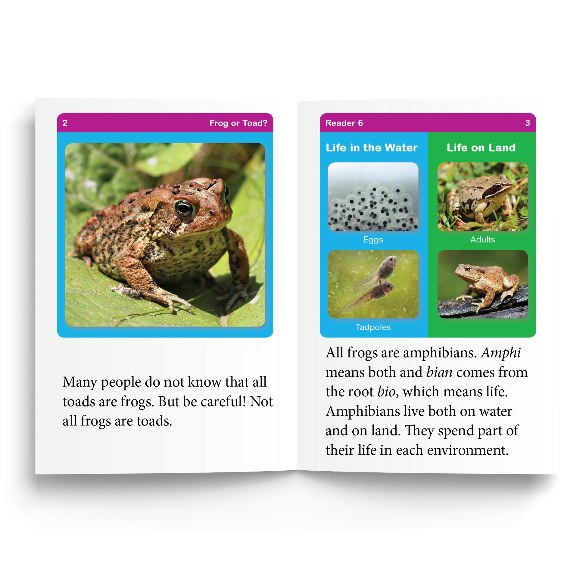 Sample of Reader 6: Frog or Toad? used in Foundations D