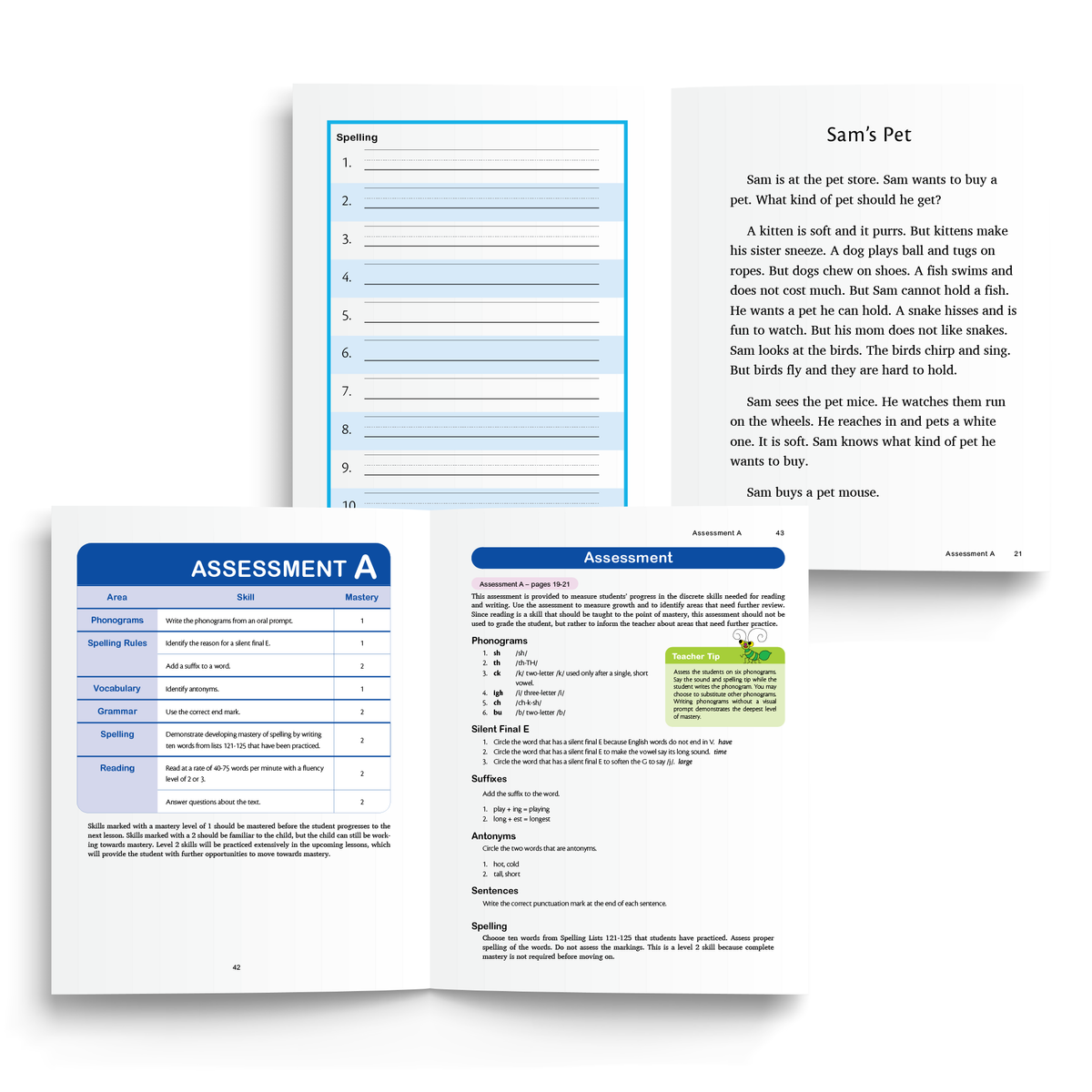 Foundations D Teacher's Manual – Logic Of English