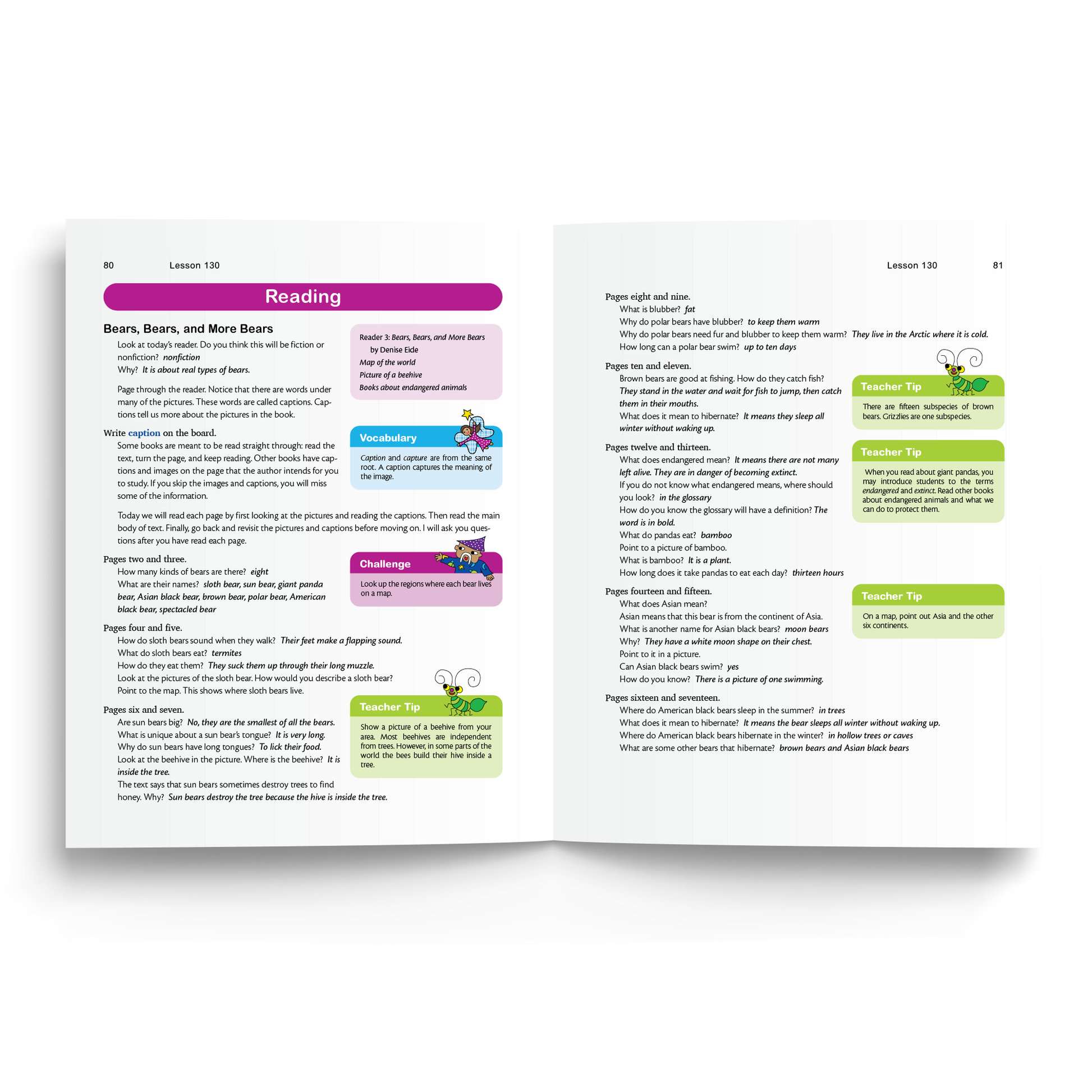 Sample of Teacher's Manual for Foundations D - Reading Comprehension